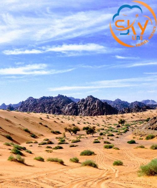 أفضل برامج سياحية في السعودية لعام 2025